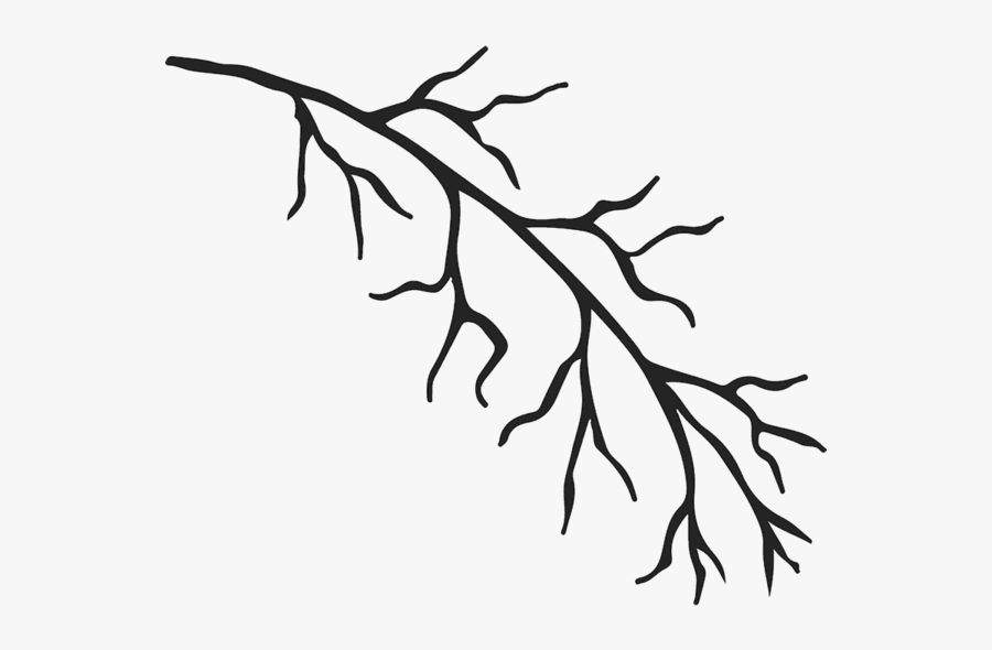 Line Art, Transparent Clipart