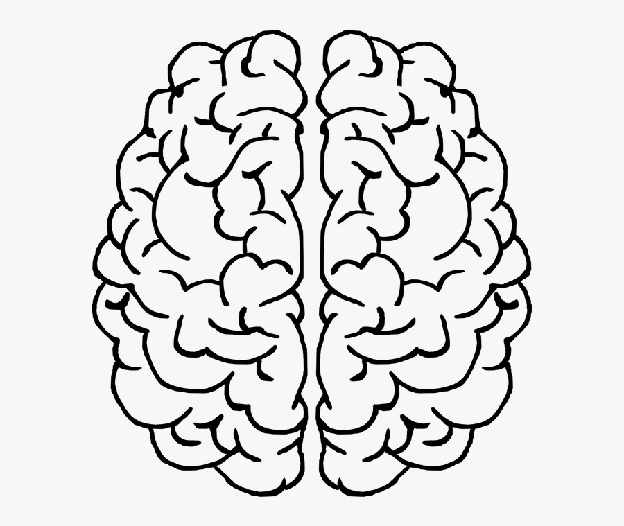 Brain Mind Gray Matter Thought Head Ideas - Black And White Brain Png, Transparent Clipart