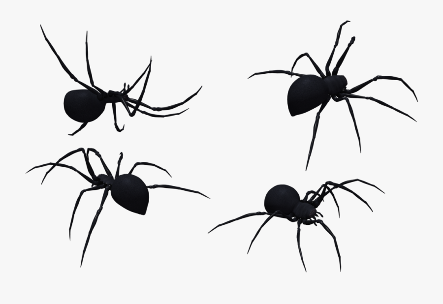 Black Widow Spider Art - Spider, Transparent Clipart