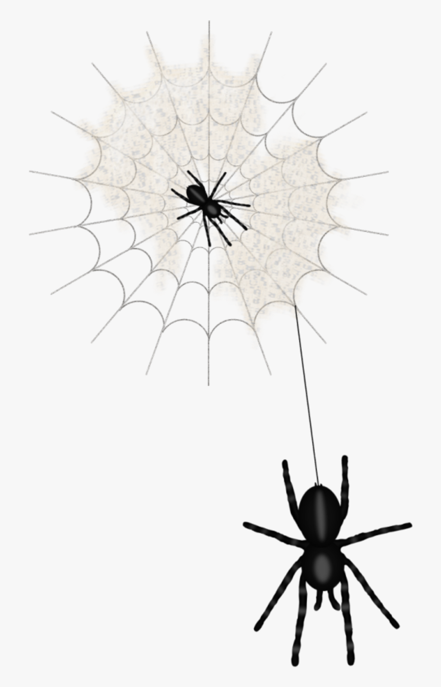 Widow Spiders Clip Art - Tangle-web Spider, Transparent Clipart