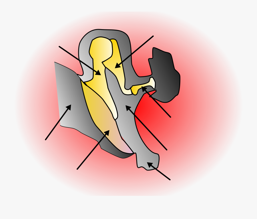 Clipart Ear Svg - Cartoon, Transparent Clipart