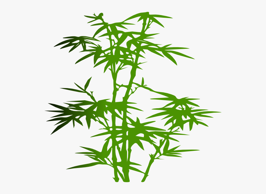 Bamboo Sketch Png, Transparent Clipart