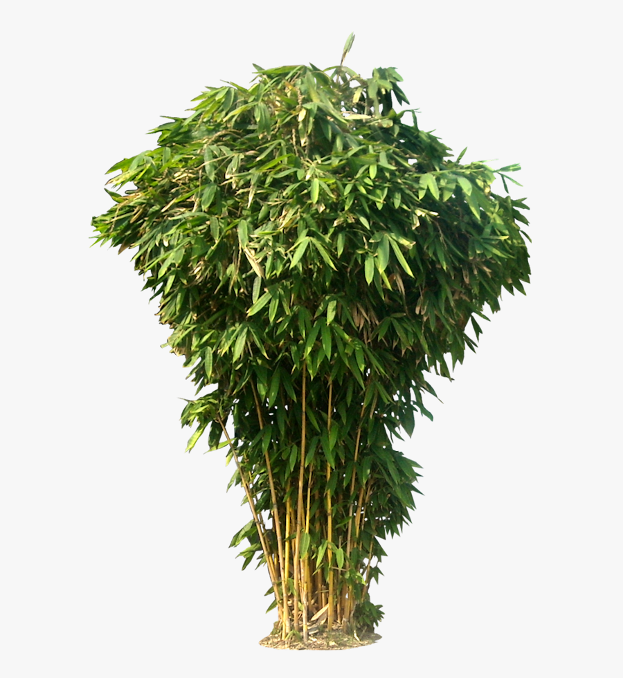 Pin By Awsxcn On Design - Hd New Png Background, Transparent Clipart