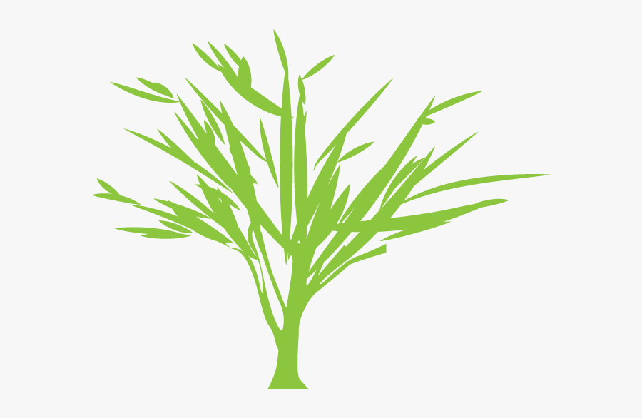 Tree Silhouette Euclidean Vector Green - Vector Graphics, Transparent Clipart