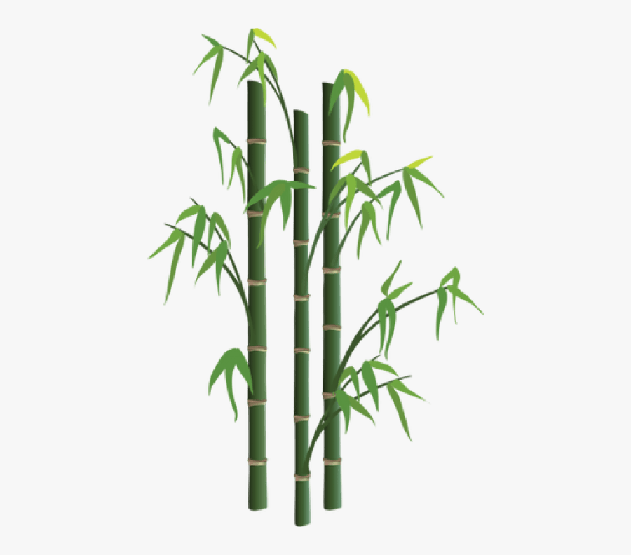 Png Free Images Toppng Transparent Background - Transparent Background Bamboo Png, Transparent Clipart
