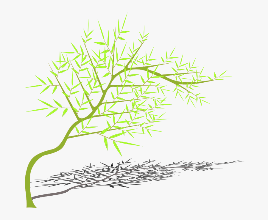 Bamboo - Illustration, Transparent Clipart