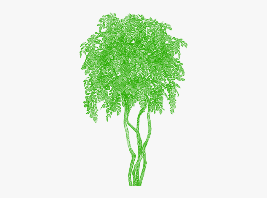 It Vector Tree - Trippy Tree Png, Transparent Clipart