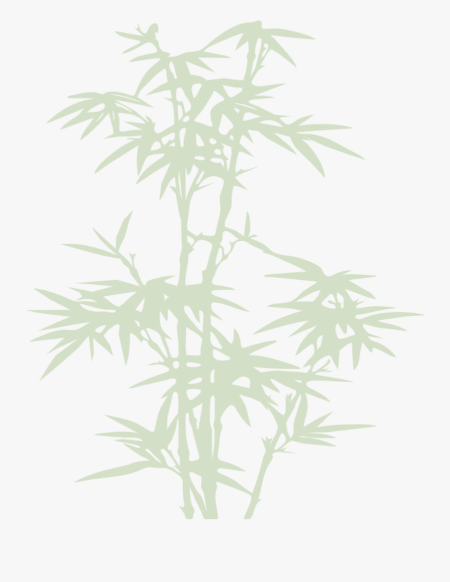 #bamboo #tree #shadow #green #cherryatelier #freetoedit - Grass, Transparent Clipart