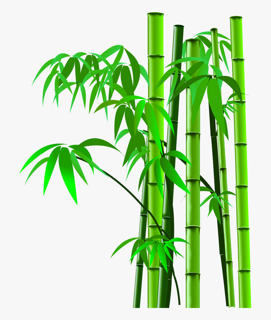 Flee Decorative Bamboo Trivets Mat For Hot Dishes Pot - Cartoon Bamboo Tree Png, Transparent Clipart