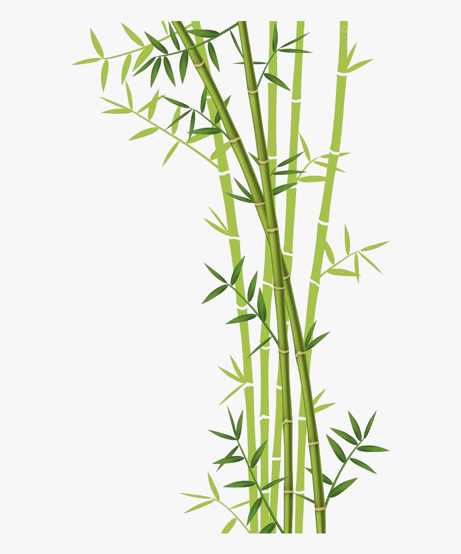 Transparent Bamboo Background Clipart - Transparent Background Bamboo Clipart, Transparent Clipart
