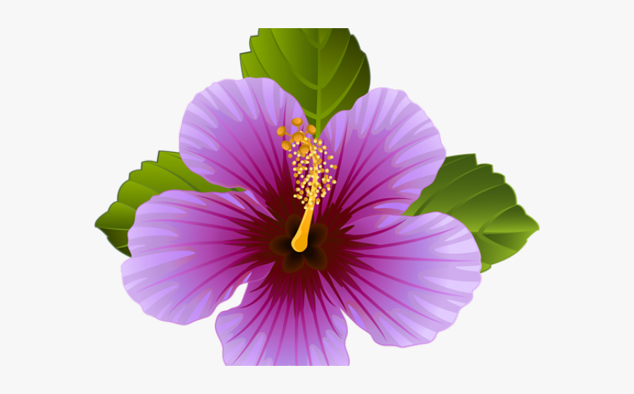 Flowers Borders Clipart Hawaii - Hawaiian Flowers Purple, Transparent Clipart