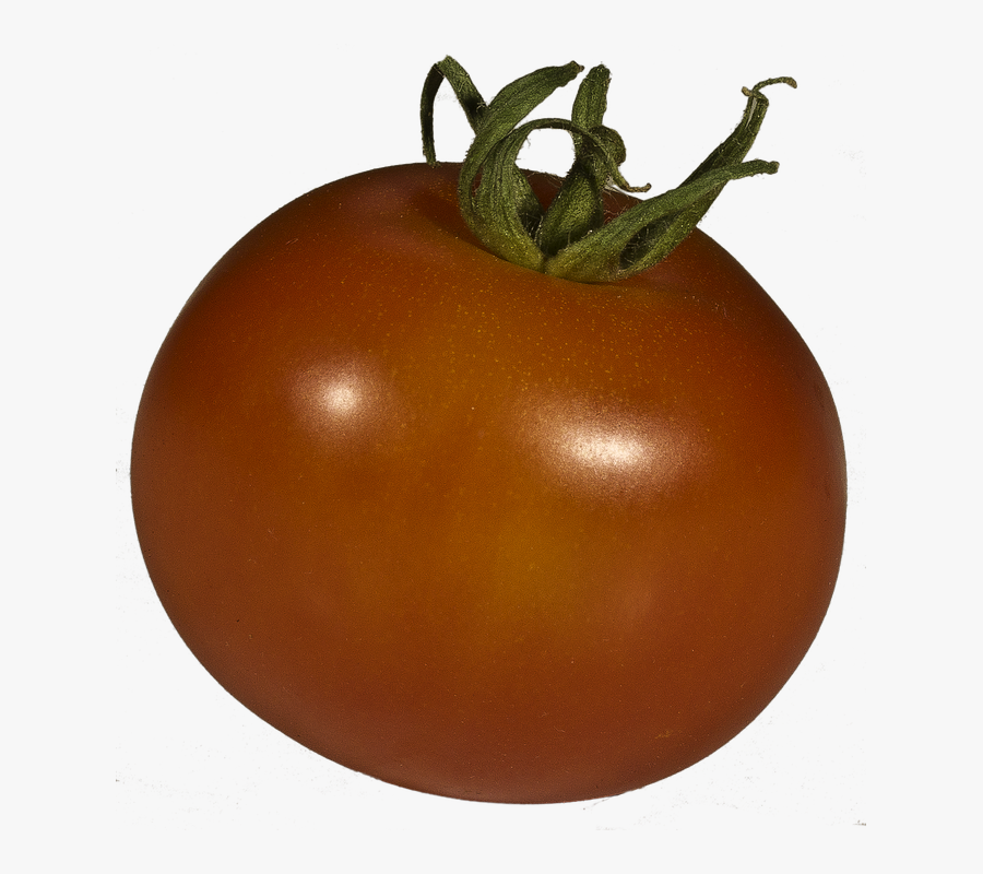 Free Photo Tomato Solanum Lycopersicum Grown Xitomatl - Tomato, Transparent Clipart