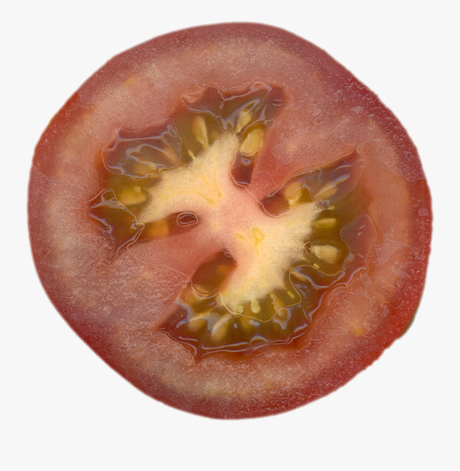 Qubodup Tomato Tomate - Tomato, Transparent Clipart