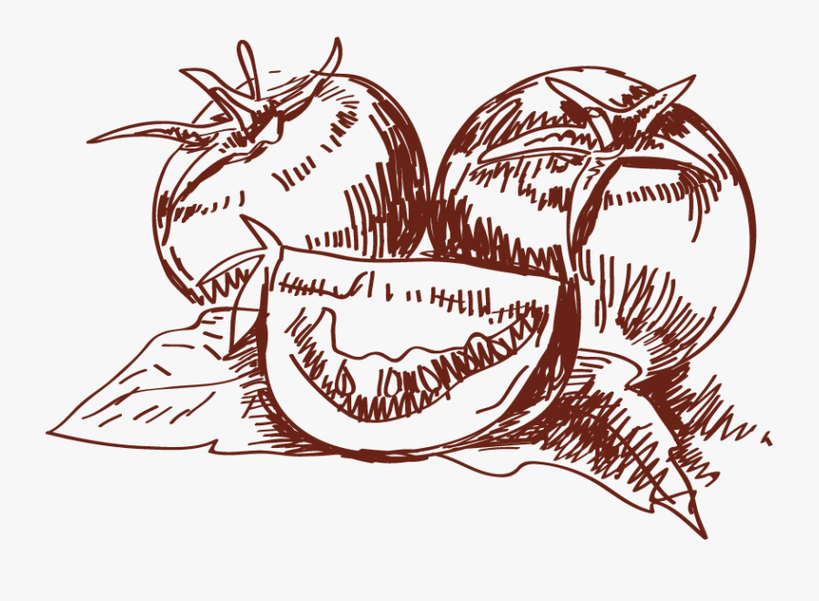 Transparent Tomate Clipart - Hand Drawn Tomato Png, Transparent Clipart