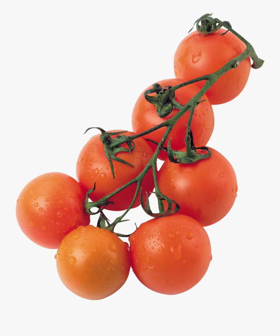 Clipart Tomato Transparent Background Png, Transparent Clipart