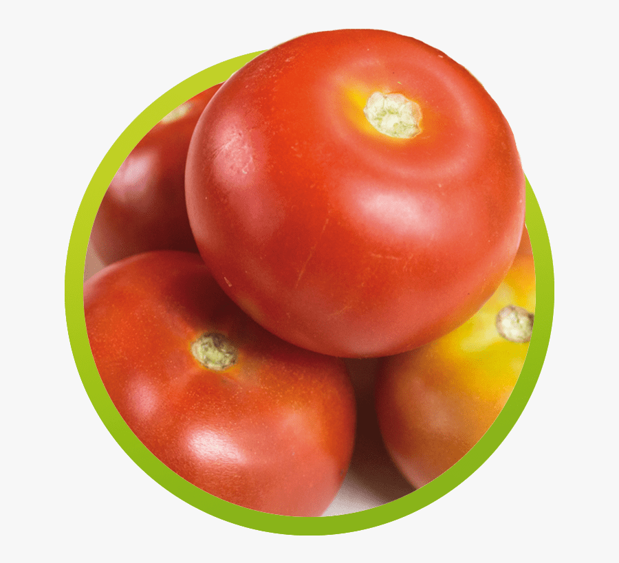 Plum Tomato, Transparent Clipart