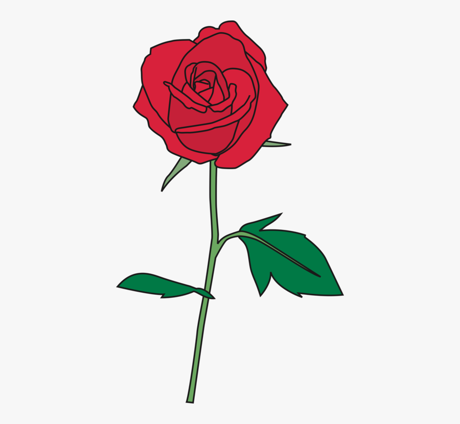 Petal,plant,flora - Copyright Free Download Pictures Of Flowers, Transparent Clipart