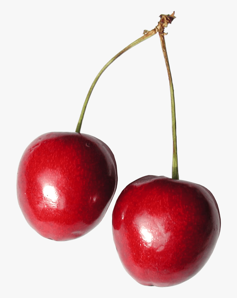 Cherry Duo Shiny - Cherry Transparent Png, Transparent Clipart