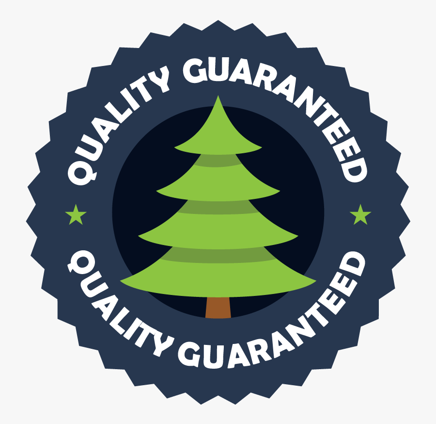 Transparent Christmas Tree Branches Png - Bestseller, Transparent Clipart