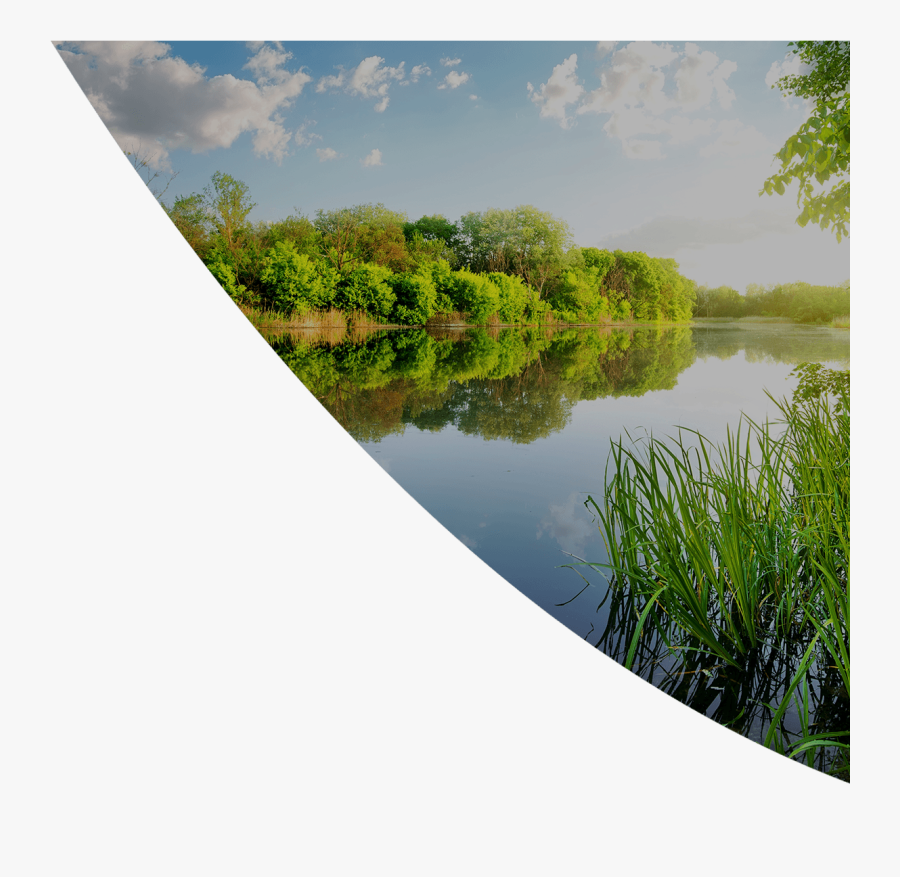 Reflection, Transparent Clipart