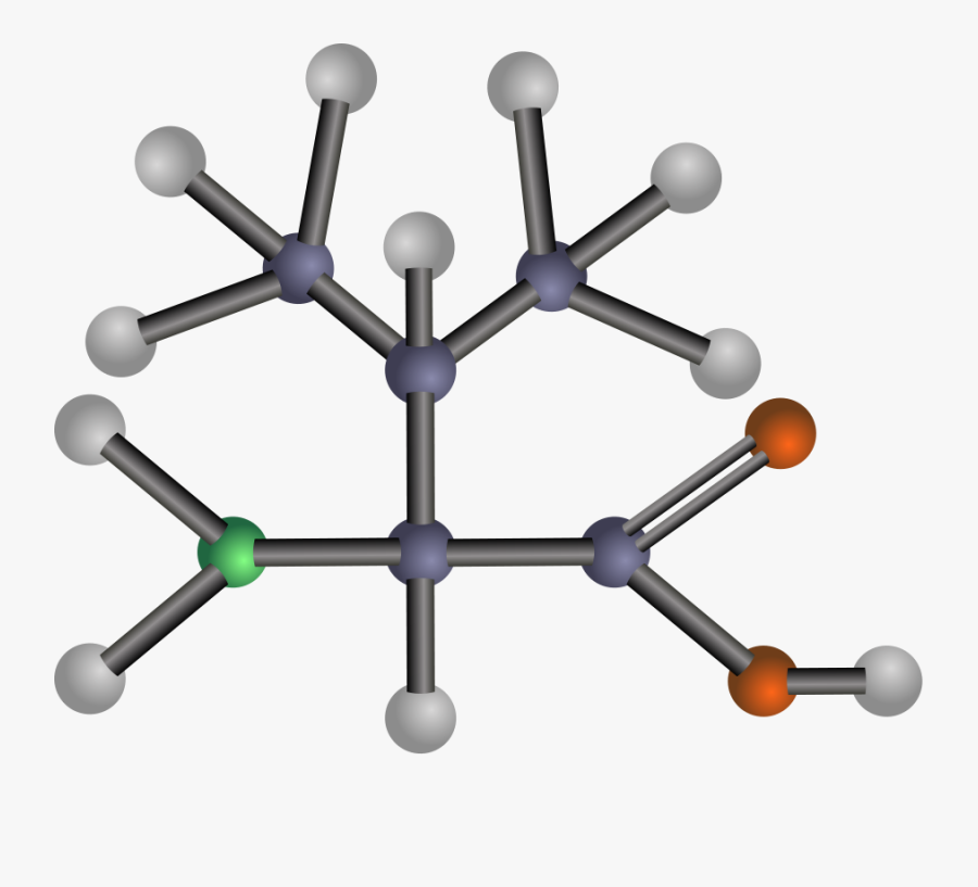 Valine Svg Clip Arts - Amino Acid Clipart, Transparent Clipart