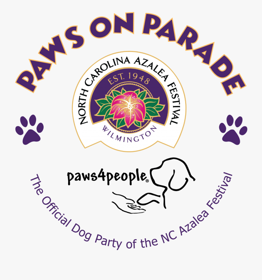 Circle, Transparent Clipart