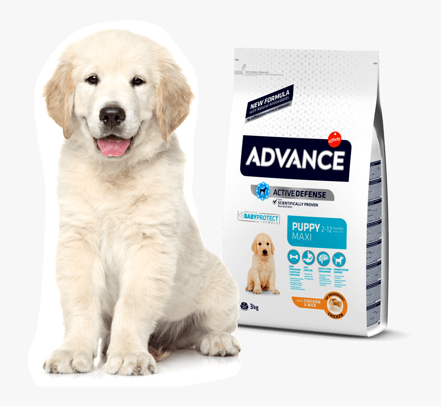 Advance Puppy Mini, Transparent Clipart