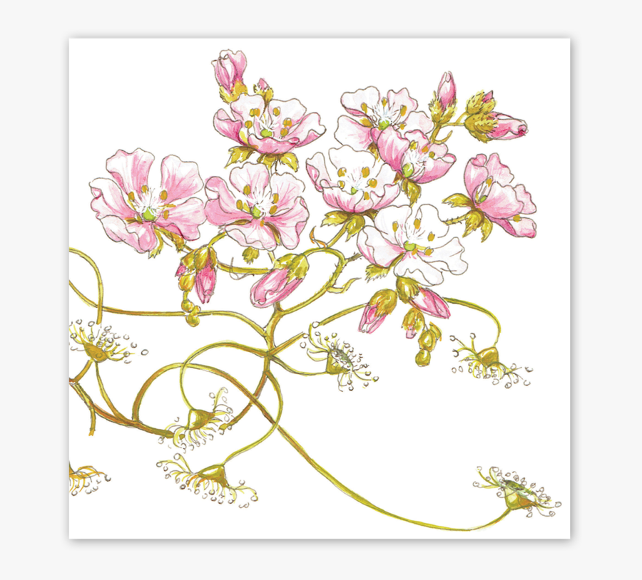 Illustration, Transparent Clipart