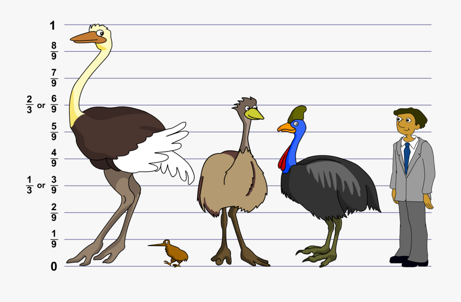 Cassowary Emu Ostrich, Transparent Clipart