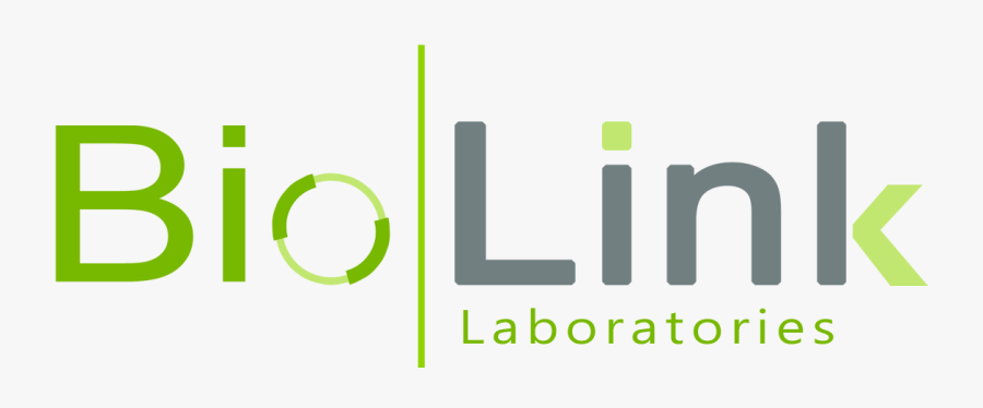 Circle, Transparent Clipart