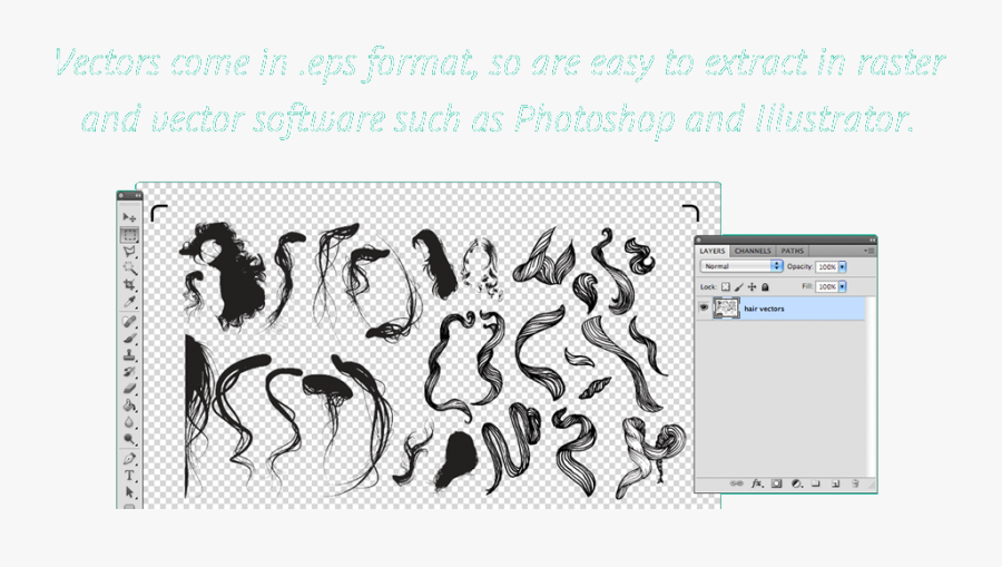 Gomediaeps - Vector, Transparent Clipart