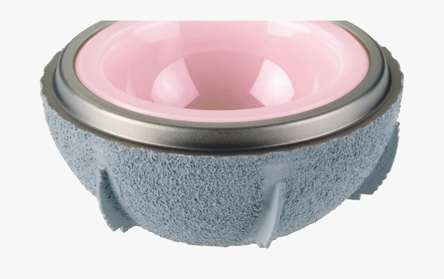 Bowl, Transparent Clipart