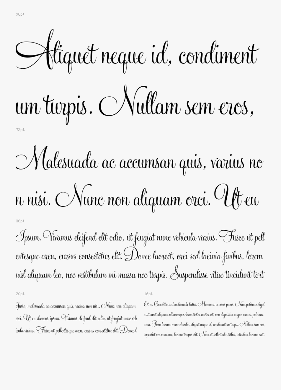 Clip Art Feel Script Font Free Font , Free Transparent Clipart