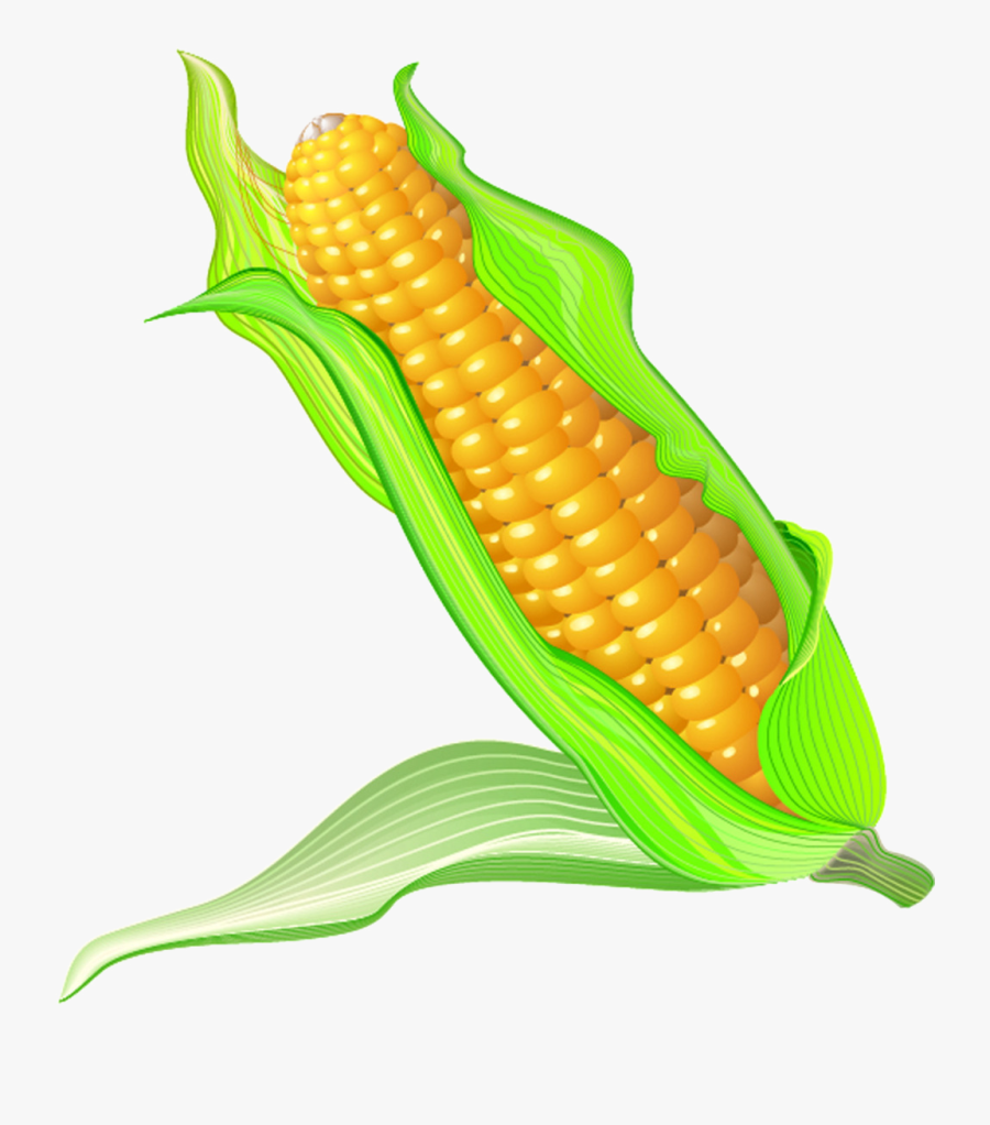 Clip Art Cartoon Picture Of Corn - Cartoon Corn Images Clear Background, Transparent Clipart
