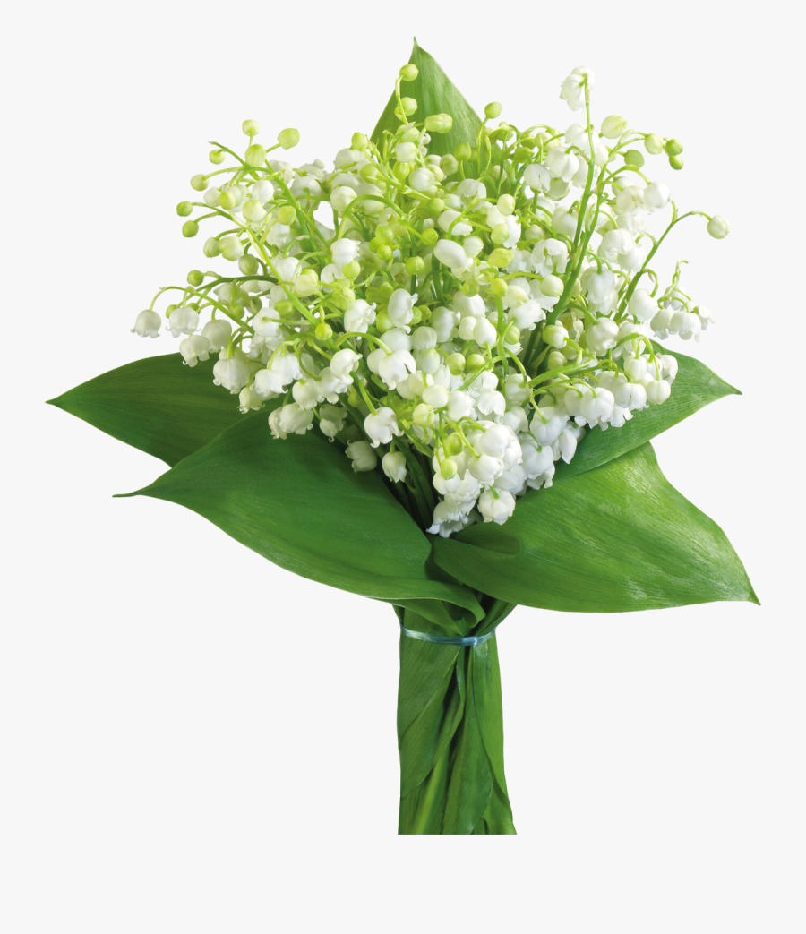 Clip Art Lily Of The Valley Bouquet - Настя С 8 Марта, Transparent Clipart
