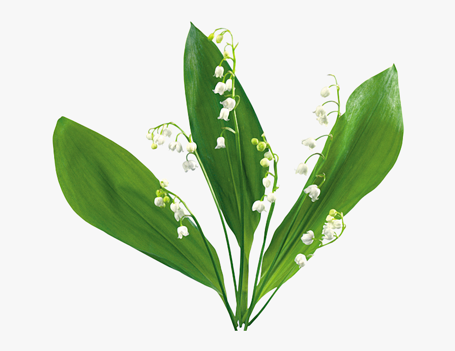 Flower Bouquet Clip Art Image Gif - Animated Lily Of The Valley Flowers, Transparent Clipart