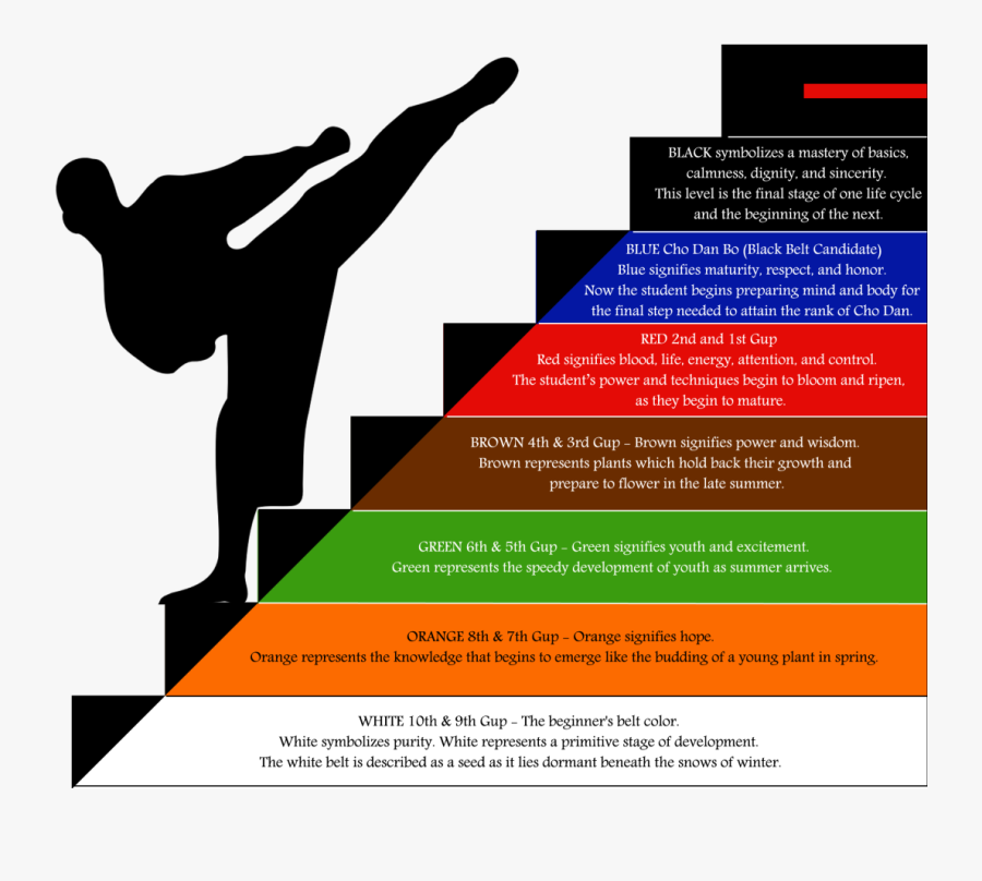 Transparent Karate Belt Png - Martial Art Png, Transparent Clipart