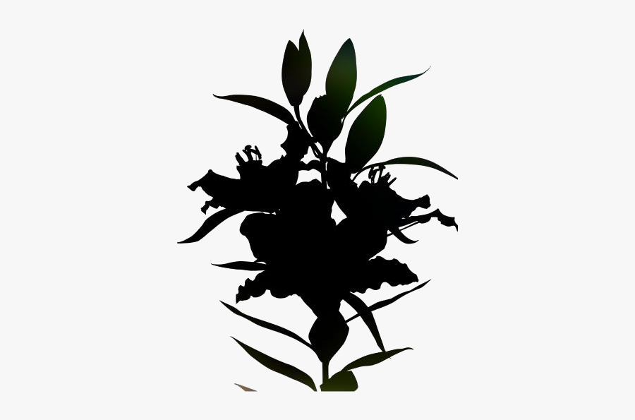 Lily Flower Png Transparent Images - Silhouette, Transparent Clipart