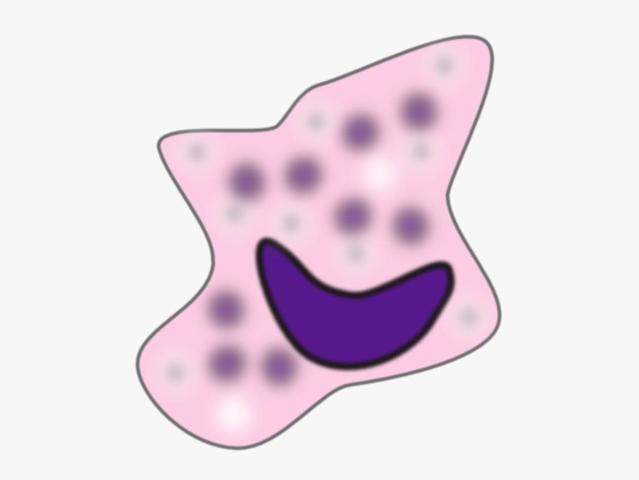 Macrophage Clipart, Transparent Clipart