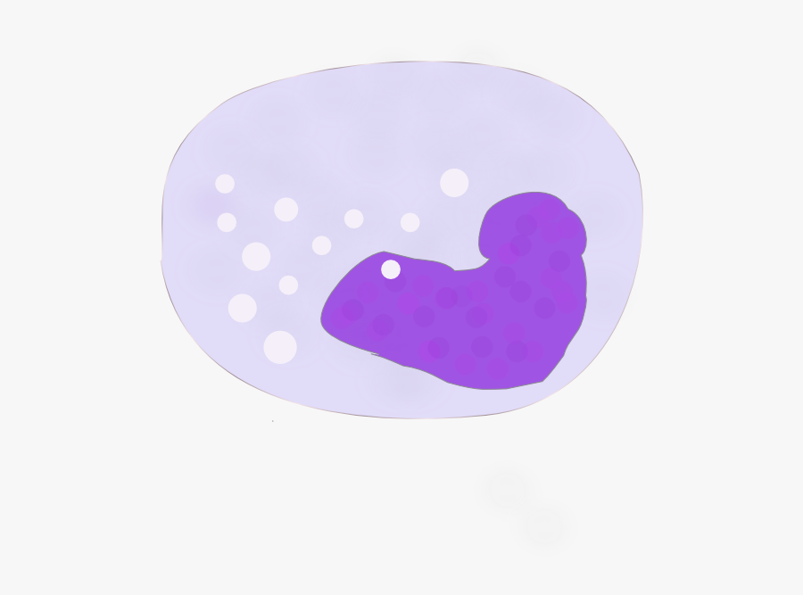 Marine Invertebrates, Transparent Clipart