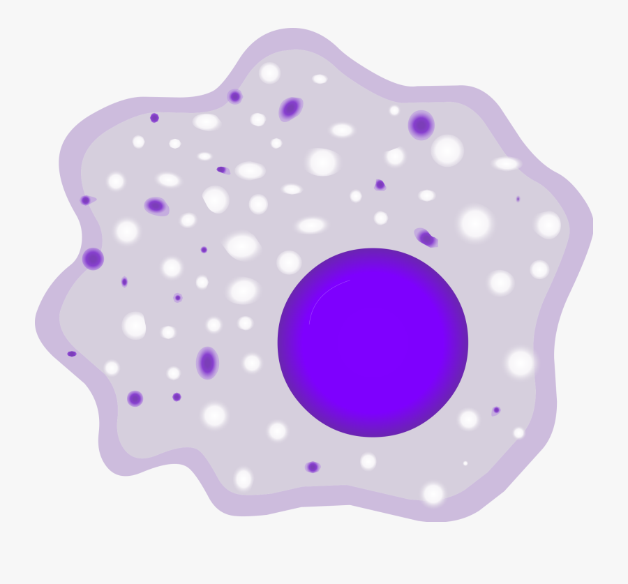 Macrophage Cell, Transparent Clipart