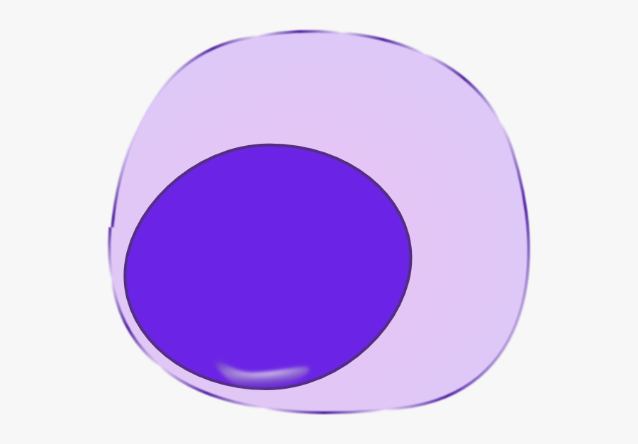 Transparent Macrophage Clipart - Vinyl Record, Transparent Clipart