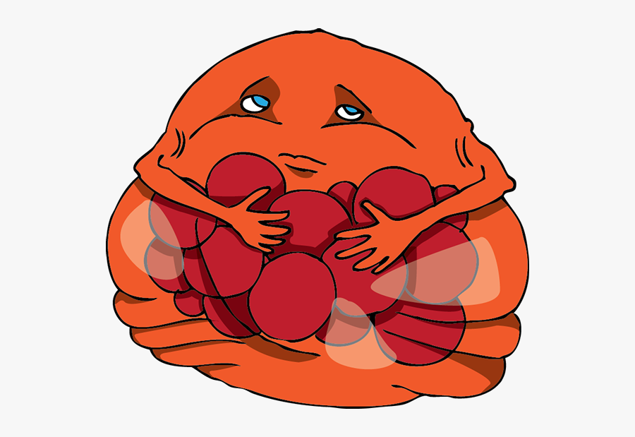 Clip Art, Transparent Clipart