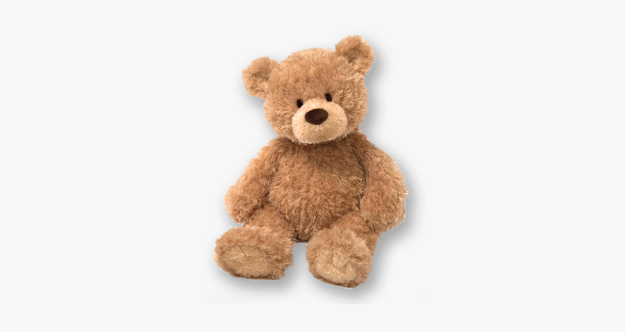 Teddy Bear"s Picnic A Great Success - Teddy Bear, Transparent Clipart