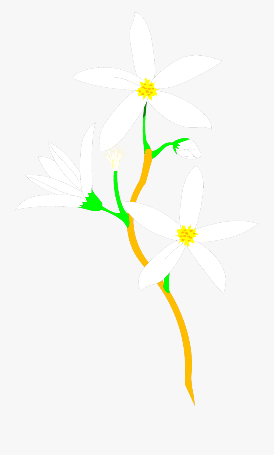 Clip Art The Playground Millions Of - Jasmine, Transparent Clipart