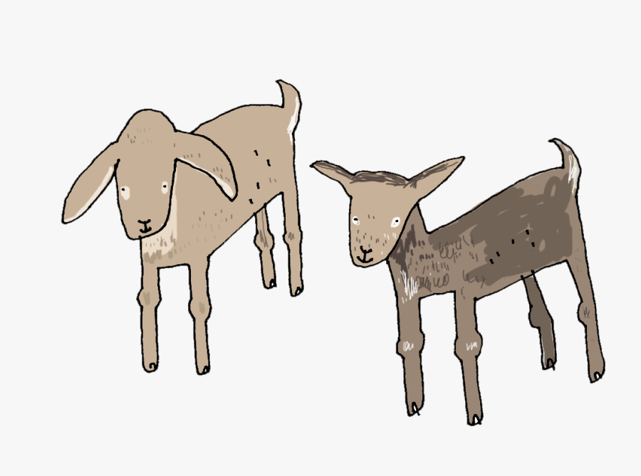 Kids Transparent Goat - Goat, Transparent Clipart