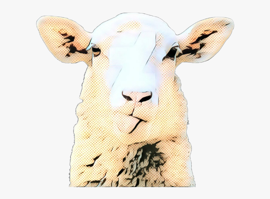 Sheep, Transparent Clipart