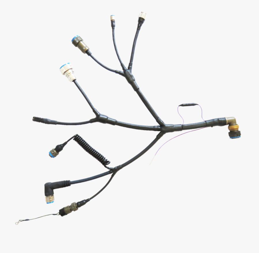 Transparent Electrical Wires Png - Twig, Transparent Clipart
