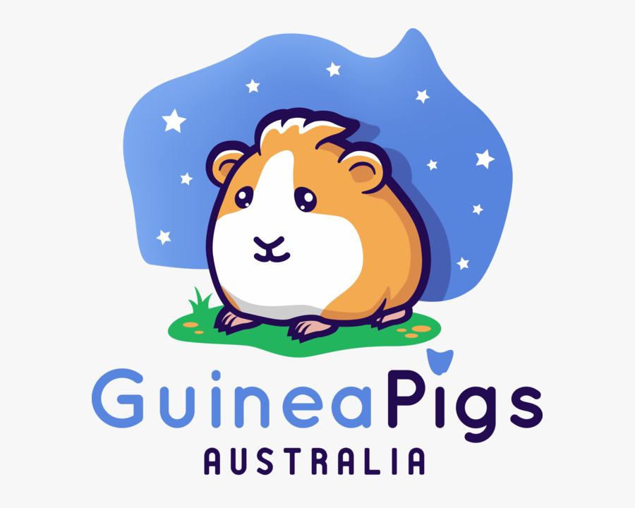 Transparent Free Guinea Pig Clipart - Guinea Pigs Australia, Transparent Clipart