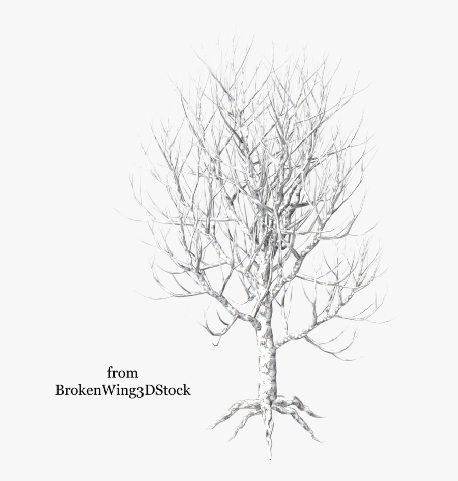 Twig Drawing Broken Tree Branch - Illustration, Transparent Clipart